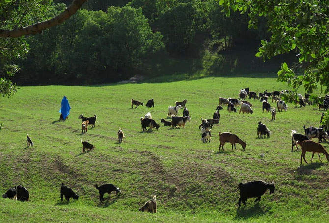 Nomads of Iran