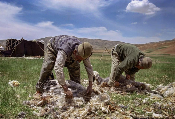 Nomads of Iran