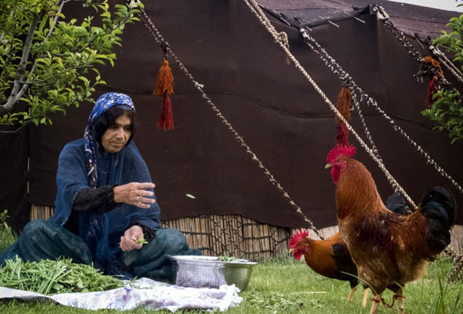 Nomads of Iran