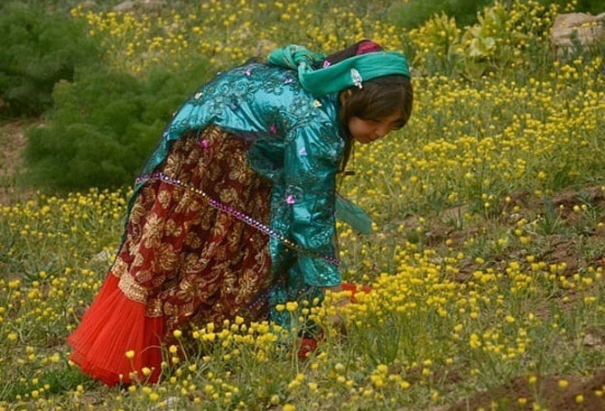 Nomads of Iran