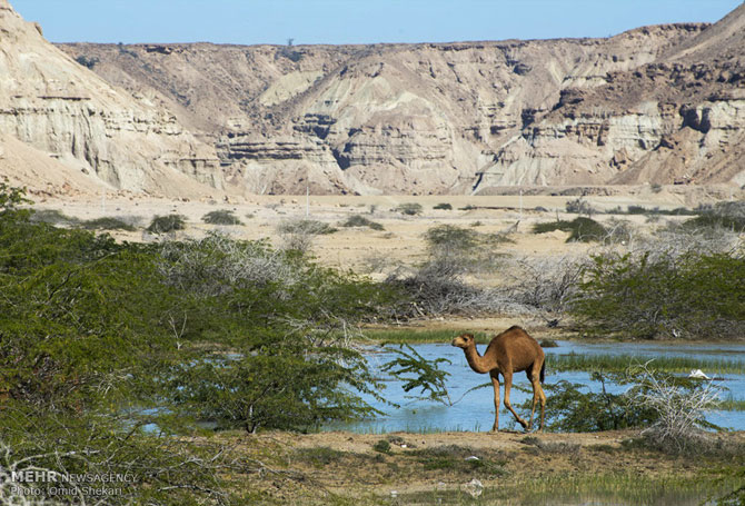 Qeshm Island