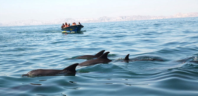 Qeshm Island