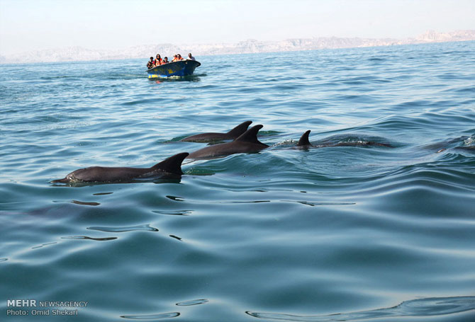 Qeshm Island