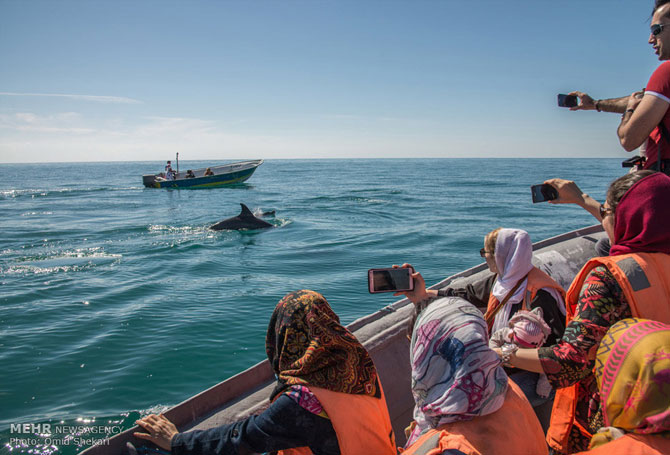 Qeshm Island