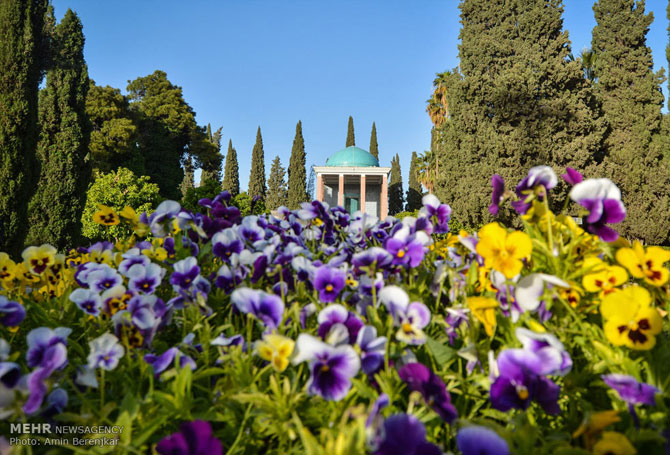 بزرگداشت سعدی