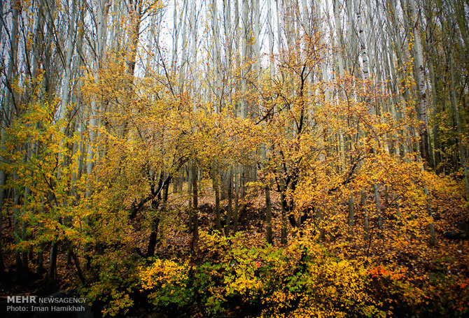 Autumn in Hamadan Province