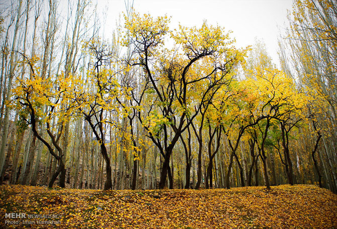 Autumn in Hamadan Province