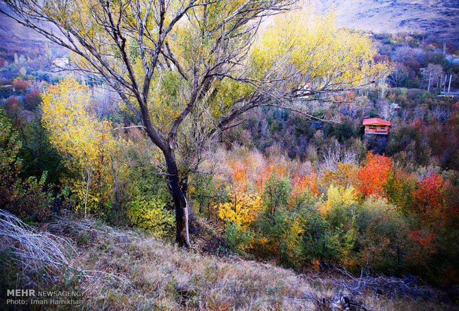 Autumn in Hamadan Province