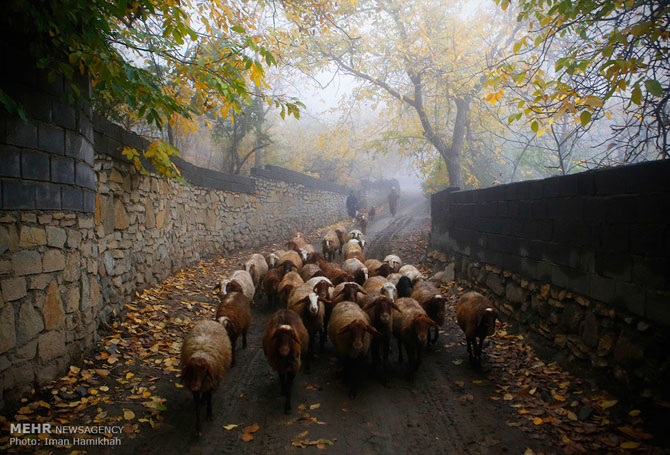 Autumn in Hamadan Province