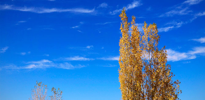 Autumn in Hamadan Province