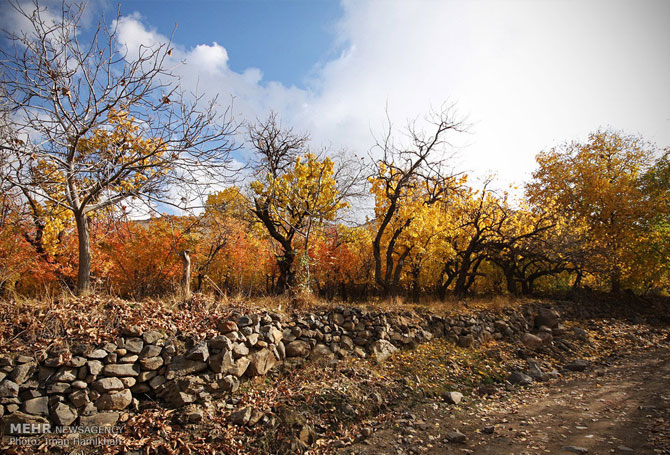 Autumn in Hamadan Province