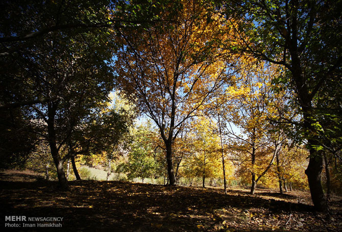 Autumn in Hamadan Province