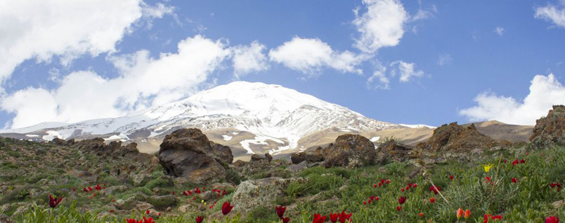 Tehran Province