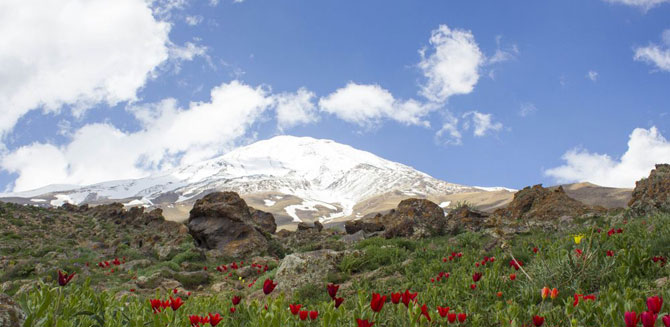 Tehran Province