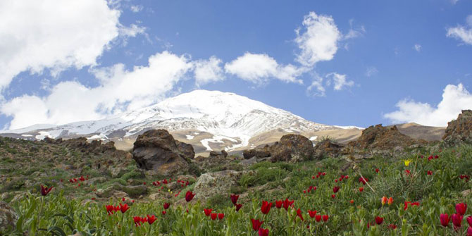 Tehran Province