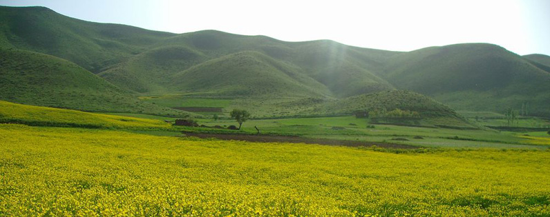 Kurdistan Province