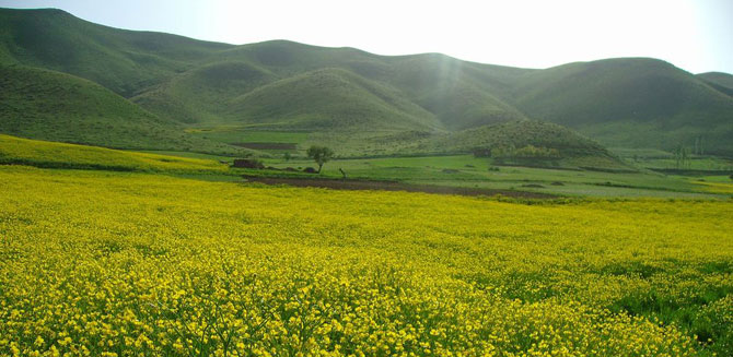 Kurdistan Province