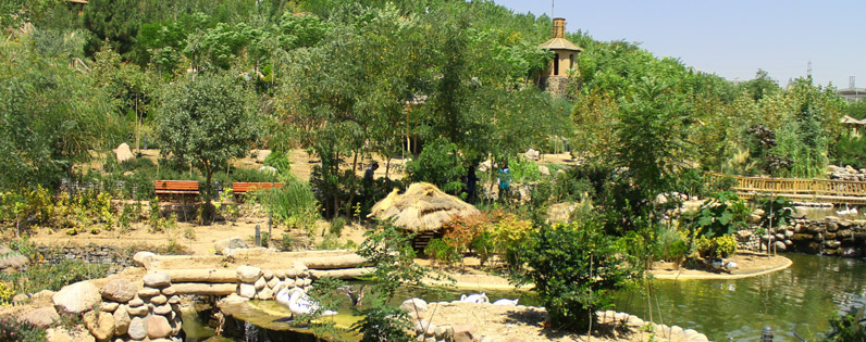 Birds Garden of Tehran